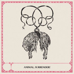 After by Animal, Surrender!