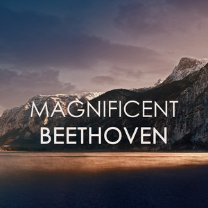 Magnificent Beethoven album
