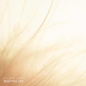 in a little while by Beautiful Life