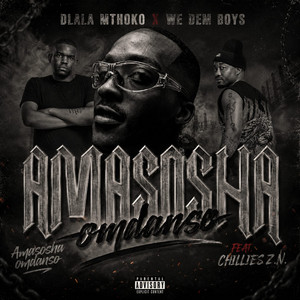 Amasosha Omdanso - Official Audio by Dlala Mthoko, We Dem Boyz, Chillies Z.N
