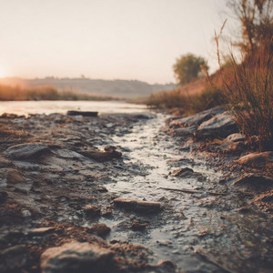 Out of the Mire
