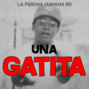 Una Gatita by La Percha Humana rd