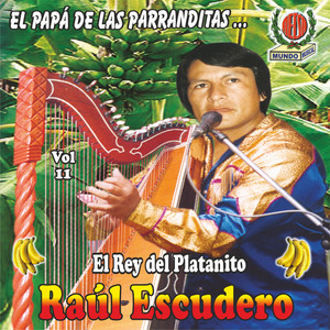 raul escudero - Traición de Tu Amor / Herido Corazón