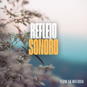 Reflejo Sonoro by FLow La Melodia