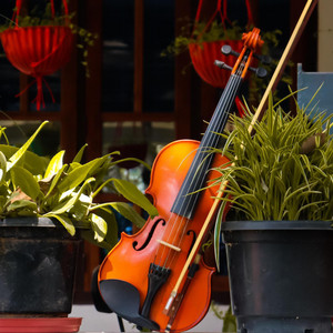 Yula_Music — Beautiful Orchestra
