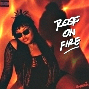 roof on fire by synsai