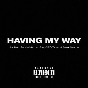 Havin My Way by lil HamSandwhich, baby murda, BABY CEO TRELL