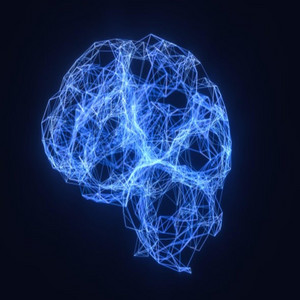 Brainwaves
