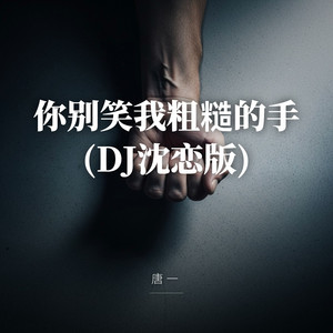 你别笑我粗糙的手(DJ沈恋版) by 唐一