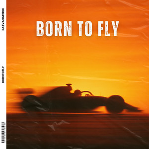 Born To Fly (Lando Norris Tribute) cover art