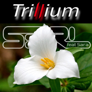 S3RL - Trillium (feat. Sara) - Slowed