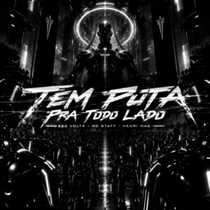 Обкладинка: Tem Puta Pra Todo Lado