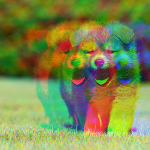 Relaxed Background Music for Eager Hounds album