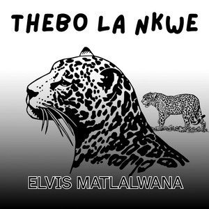 GO NYALA NNA by ELVIS MATLALWANA