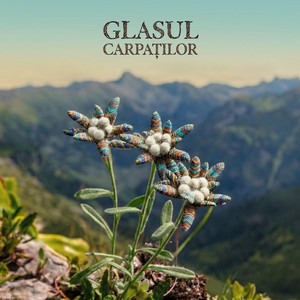 Floare de colț by Afro-Carpathic