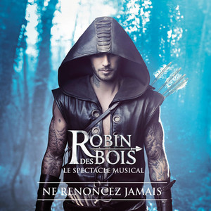 その他 Robin Des Bois - Spectacle Musical (DVD+CD) d2ldlup Le Spectacle Musical : Robin des Bois, Multi-Artistes: Amazon.fr