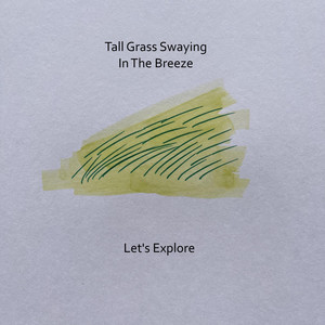 Tall Grass Swaying In The Breeze (felt piano) by Let's Explore
