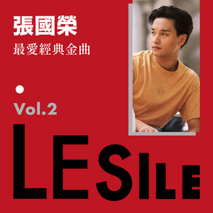 HIS 张国荣 DVD 38曲収録 張國榮 STORY
