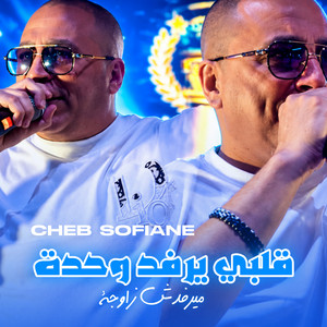 Galbi Yarfad Wahda Mayarfadch Zawja by cheb sofiane 31