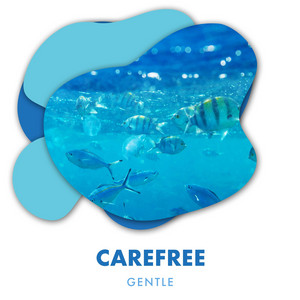 zZz Carefree Gentle Ocean Sounds zZz album