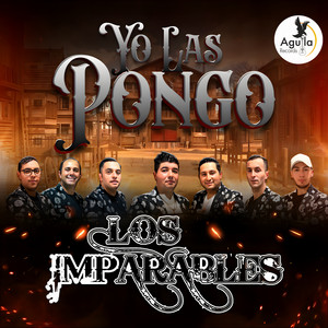 YO LAS PONGO