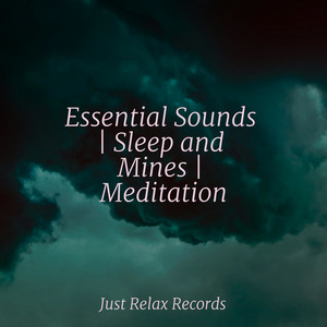 Essential Sounds | Sleep and Mines | Meditation