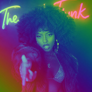 I Want The Funk by From Disco 2 Disco
