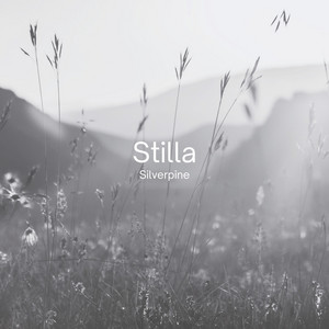 Stilla by Silverpine