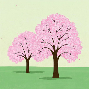 Velucinda Amaranthes - Path of Light and Darkness