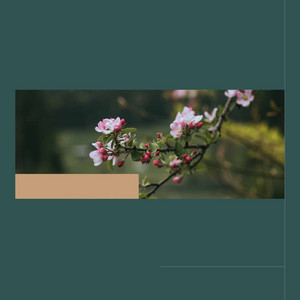 Smooth Jazz Sax (Music for Mental Health Reflections) album