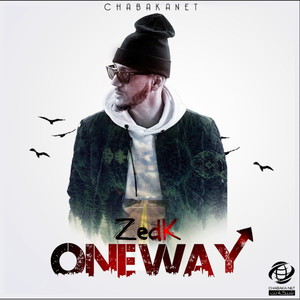 Zed-K - One Way