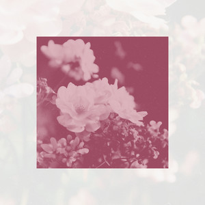 Botanical by Peqasus