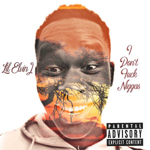 Don't Fuck Niggas by Lil Elvin J