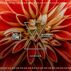Voices - Original Mix by Max Magnani