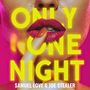Only One Night by Samuel Love, Joe Stealer