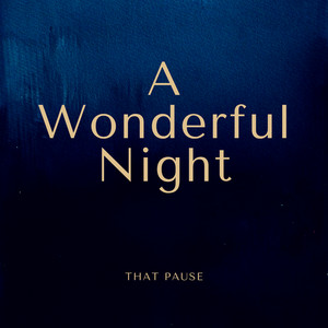 A Wonderful Night by That Pause