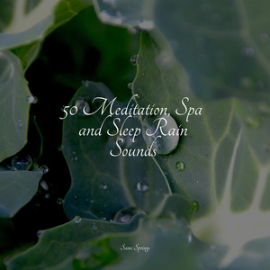 50 Meditation, Spa and Sleep Rain Sounds album