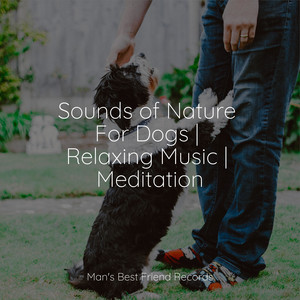Sounds of Nature For Dogs | Relaxing Music | Meditation album