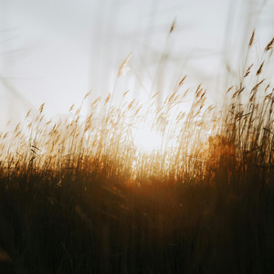 Reach by amies