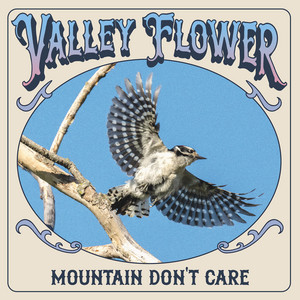 Mountain Don't Care by Valley Flower