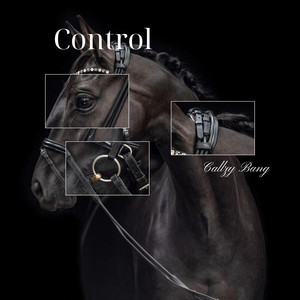 Control by Callzy Bang