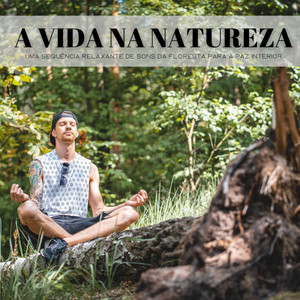 A Vida Na Natureza: Uma Sequência Relaxante De Sons Da Floresta Para A Paz Interior album