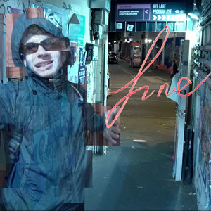 Fine