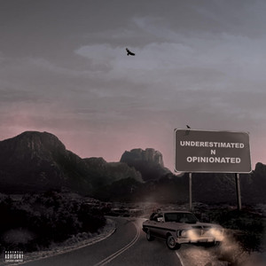 Underestimated N Opinionated cover