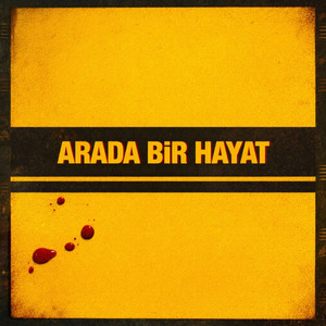 Arada Bir Hayat