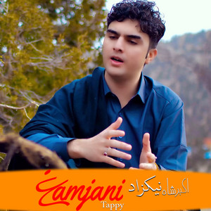 Akbar Shah Nikzad - Ghamjani Tappy