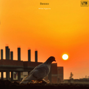 White Pigeons by Besso