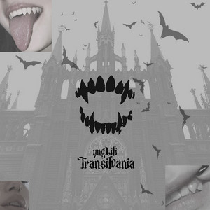 Cover art: Transilvania
