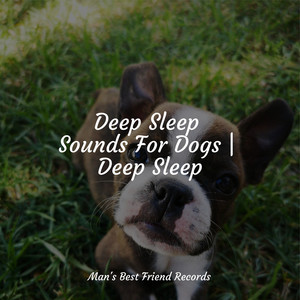 Deep Sleep Sounds For Dogs | Deep Sleep album