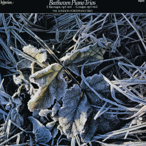Piano Trio No. 1 in E-Flat Major, Op. 1 No. 1: III. Scherzo. Allegro assai – Trio
